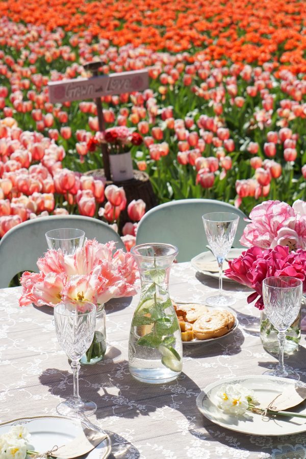 vaasjes tulpen op tafel tulpenveld lisse