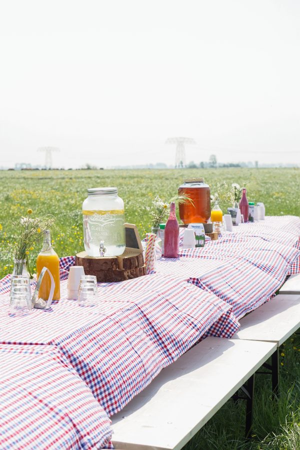 picknick in het veld