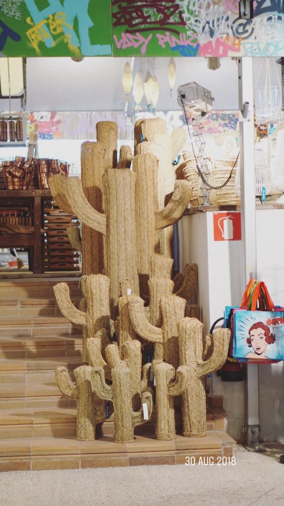 rotan cactussen sluiz ibiza woonwinkel