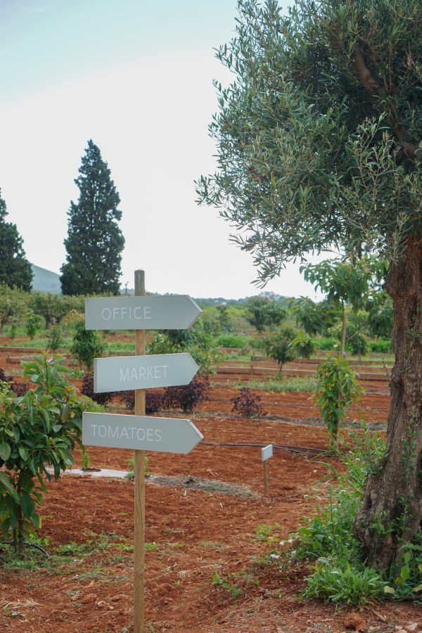 boerderij terra masia biologisch eten op Ibiza