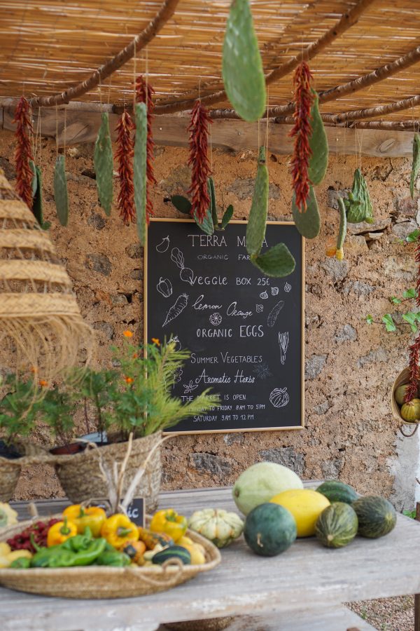 biologisch eten op Ibiza groenten markt terra masia