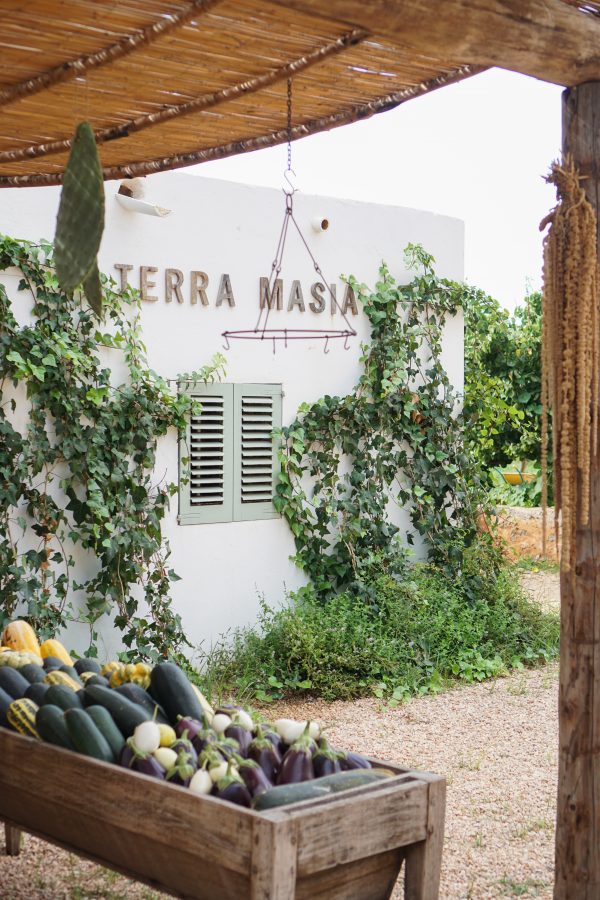 biologisch eten op Ibiza boerderij terra masia