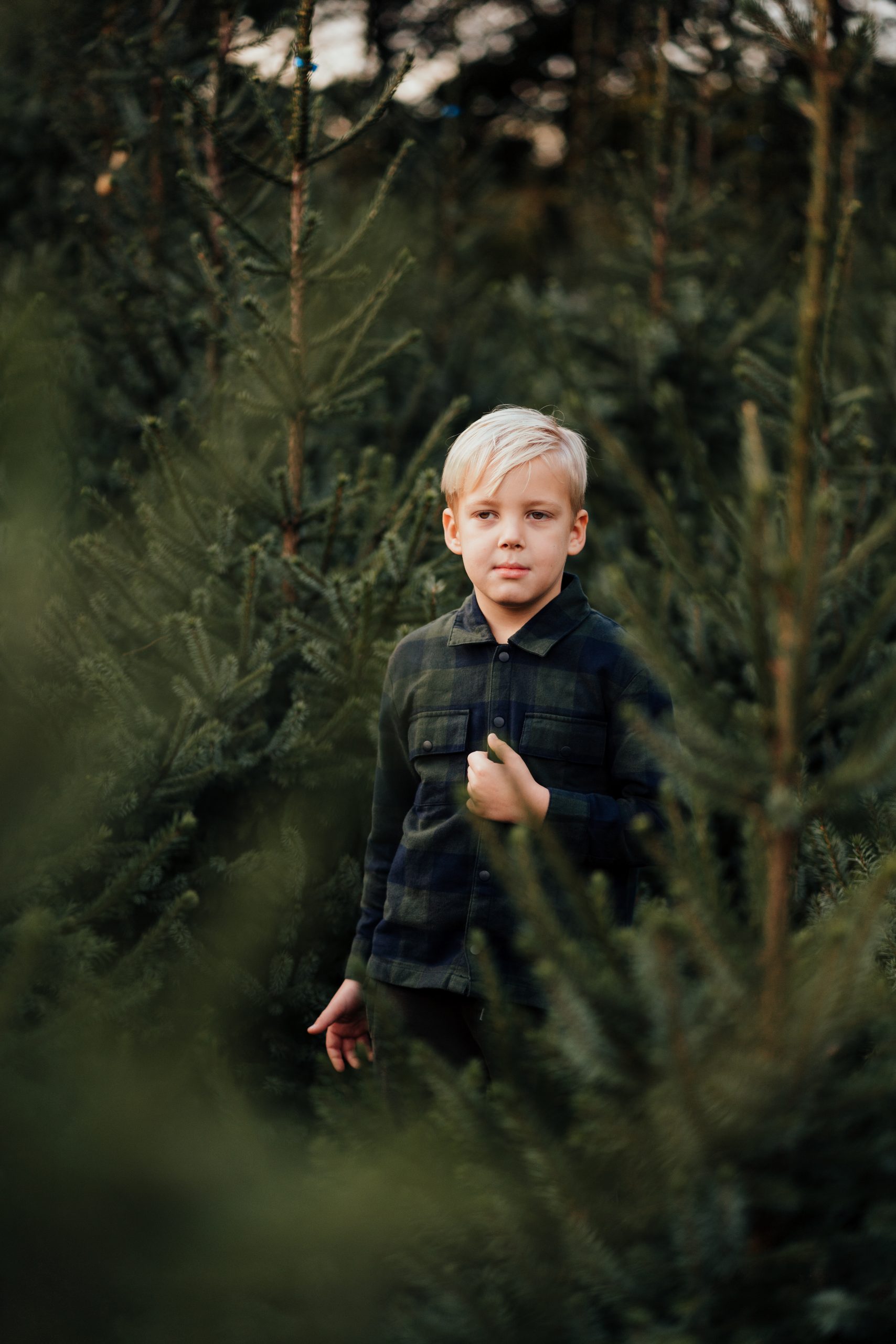 fotoshoot kerstbomen jongen