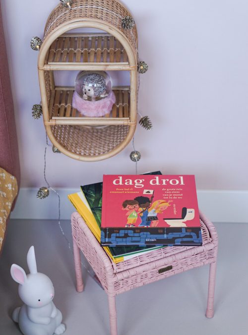 Dag Drol! een fascinerend en leerzaam voorleesboek voor kinderen
